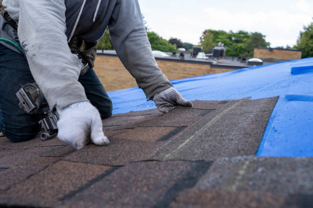 Best Roof Repair Services  in Fox Crossing, WI